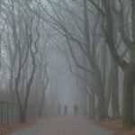 mgła12 150x150 - Kołobrzeg we mgle - zdjęcia
