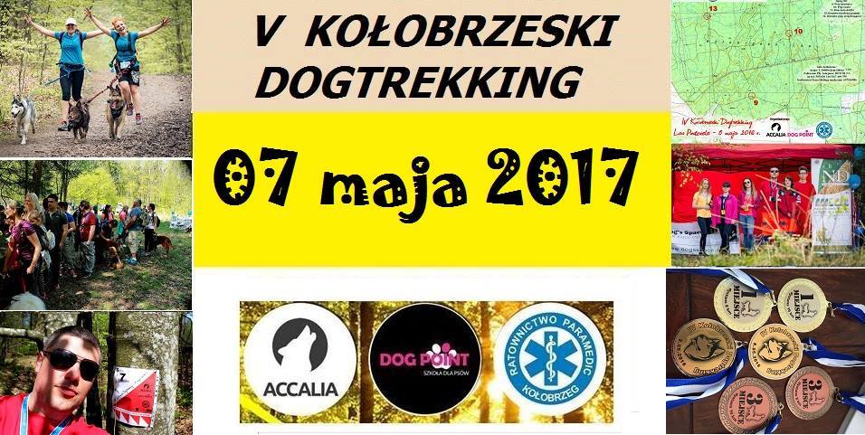 You are currently viewing Ruszyły zapisy na V Kołobrzeski Dogtrekking