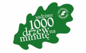 Read more about the article Akcja „1000 drzew na minutę” dla uczczenia pamięci 800 letniego „Bolesława”