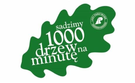 You are currently viewing Akcja „1000 drzew na minutę” dla uczczenia pamięci 800 letniego „Bolesława”