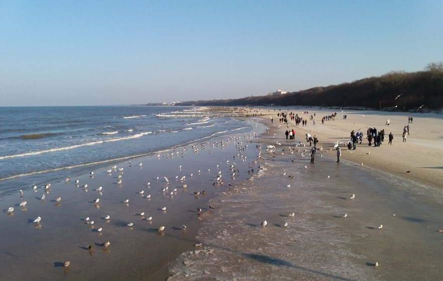 You are currently viewing Możemy odetchnąć z ulgą – jest zgoda na letnie imprezy na plaży