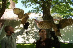 Read more about the article Targ Solny w tym roku w innym miejscu