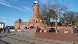 Read more about the article Latarnia morska potrzebuje pomocy w walce z mchem i glonami