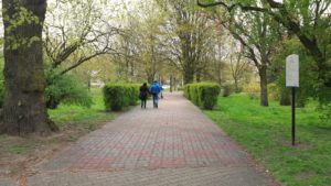 Read more about the article Dwóch generałów i ogrodnik