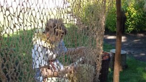 Read more about the article Społecznicy z Kołobrzegu i okolic sięgnęli po kolejne pieniądze z programu Społecznik. Na co je wydadzą?