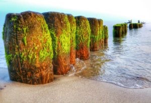 Read more about the article Sukces gimnazjalisty z Ustronia Morskiego! Zobacz nagrodzone zdjęcia