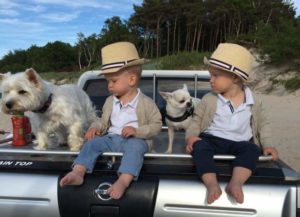 Read more about the article Ogonisko się udało, licytacja również