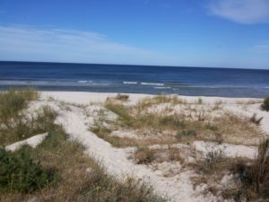 Read more about the article Wydmy pod ochroną. Sprawdź czego nie będzie można już od 7 lipca