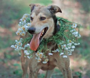 Read more about the article Piękne zdjęcie, smutna historia