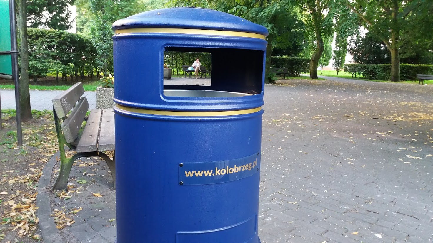 You are currently viewing Te pojemniki mają utrudnić mewom stołowanie się na miejskich śmieciach i bałaganienie