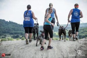 Read more about the article Kto chętny na Hard Dog Race? Zaprasza Fundacja Ogon do Góry i daje w prezencie wejściówkę