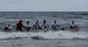 Read more about the article Pokazy psów ratowniczych