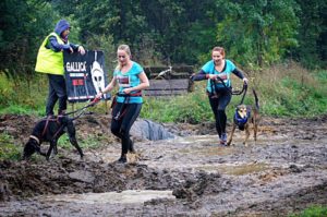 Read more about the article Kołobrzeżanki na Hard Dog Race 2017 (+zdjęcia)