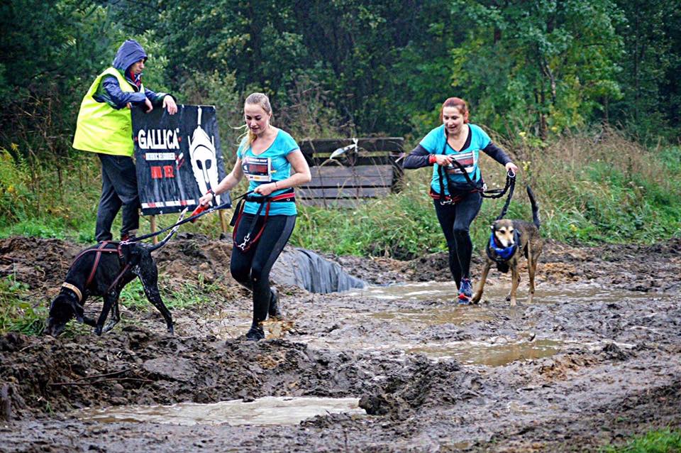 You are currently viewing Kołobrzeżanki na Hard Dog Race 2017 (+zdjęcia)