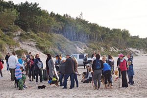 Read more about the article Sobota, psia plaża, Ogonisko fundacji Ogon do Góry, godz. 15.30, wstęp wolny