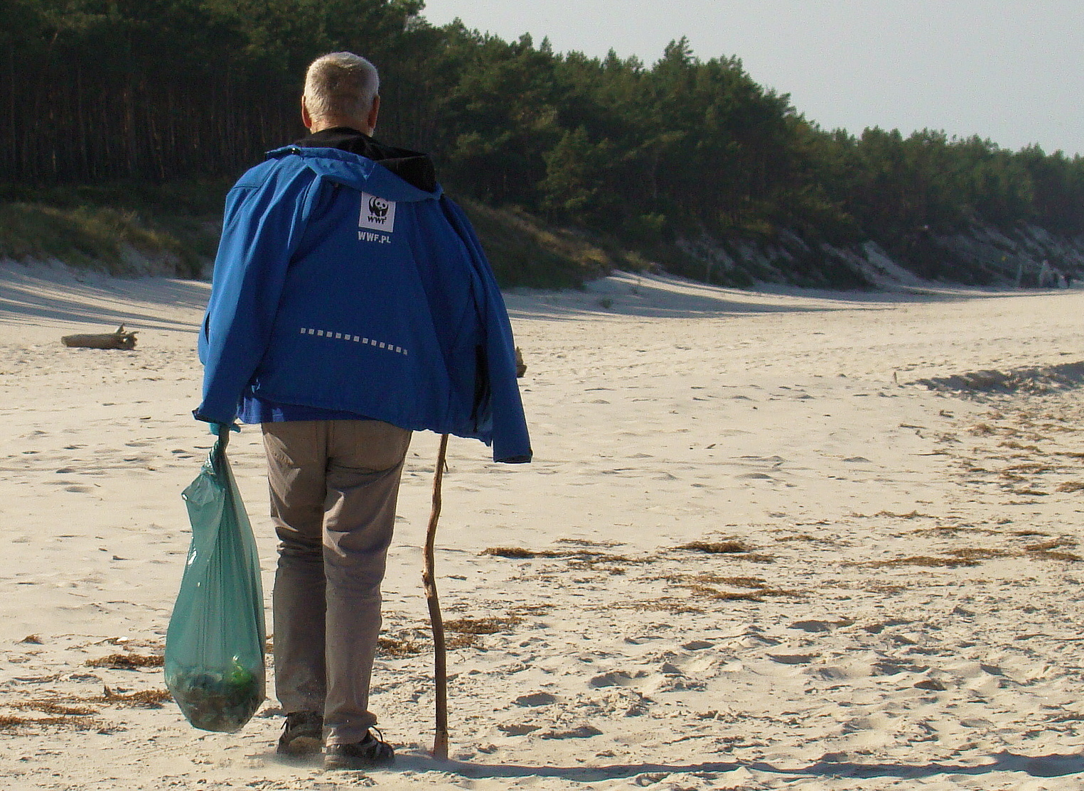 21 - Akcja "Czyste plaże" WWF Polska. Jest coraz lepiej! (+zdjęcia)