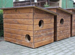 Read more about the article Nadciąga zima – potrzebne domki dla wolnożyjących kotów