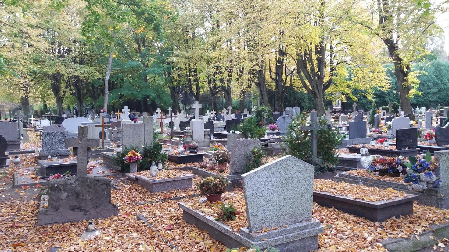 cemntarz - Porządki na cmentarzu przed 1 listopada