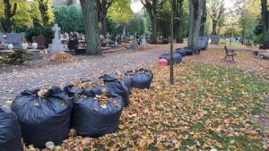 Read more about the article Porządki na cmentarzu przed 1 listopada