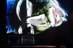 Read more about the article W piątek zagrają m.in. Sowy Polski. Mamy fragment poprzedniego Obrazowiska (+wideo)