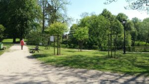 Read more about the article Do końca miesiąca będzie trwała deratyzacja. W tych miejscach zachowajcie czujność wychodząc z psami na spacer