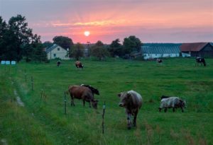 Read more about the article Piątek, GSW, wernisaż wystawy „POLAND – w obiektywie Przemysława Dawida”, godz. 19, wstęp wolny