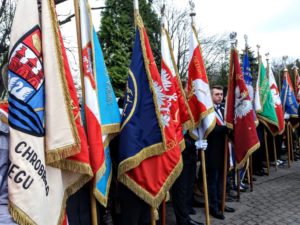 Read more about the article Narodowe Święto Niepodległości (zdjęcia, wideo)