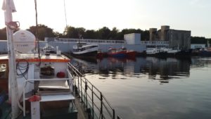 Read more about the article Prawo: sprzedaż ryb „z burty” również w niedzielę