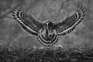 Read more about the article Arka Medical Spa przedłuża wystawę zdjęć nagrodzonych w konkursie fotograficznym. Wstęp wolny