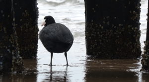 Read more about the article Jutro w regionie nawet 14 stopni C. Ruszajcie na spacer! Takie widoki na plaży wschodniej (zdjęcia)