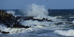 Read more about the article Widowiskowy sztorm. Rejs statkiem pasażerskim tylko dla tych z mocnym żołądkiem  (+zdjęcia)