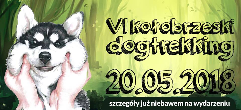 You are currently viewing W niedzielę VI Kołobrzeski Dogtrekking