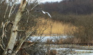 Read more about the article Malowniczy Ekopark Wschodni (zdjęcia)