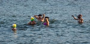 Read more about the article Robi się za ciepło – morsy kończą sezon