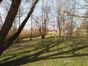 Read more about the article Magazyn Kryminalny 997 chce wrócić do niewyjaśnionej zbrodni, którą popełniono w Kołobrzegu