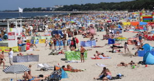 Read more about the article Uwaga na osy i pszczoły! Sporo użądleń m.in. na plaży