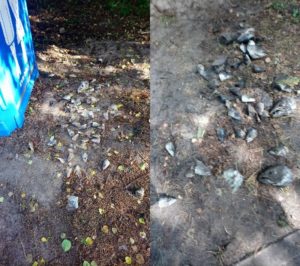 Read more about the article Wrzucał rybne odpadki do…Toi-Toi’a. Złapali go pracownicy Gminnego Ośrodka Sportu Turystyki i Rekreacji w Dźwirzynie