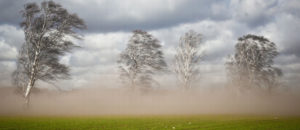 Read more about the article Ostrzeżenie przed silnym wiatrem