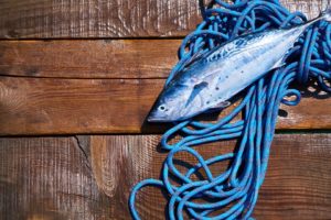 Read more about the article Sobota, Marina Solna, Festiwal Rybny, start o godz. 13, wstęp wolny