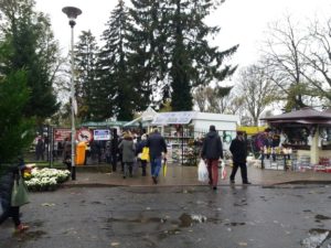 Read more about the article Można już ubiegać się o miejsca pod handel kwiatami i zniczami przed cmentarzem. Miasto wyznaczyło ich 18