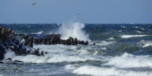 Read more about the article Uwaga, powieje z zachodu, a później z północnego-zachodu