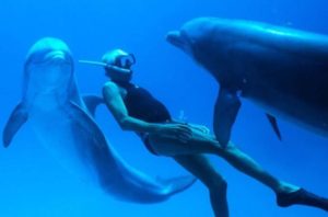 Read more about the article Czwartek, RCK, DKF „Sztorm”/film „Człowiek delfin”, godz. 19, bilety 10 zł