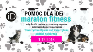 Read more about the article Maraton Fitness: Tego dnia ćwicząc w centrum aktywności iD wspomagasz bezdomne czworonogi