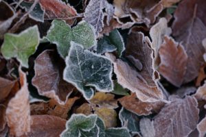 Read more about the article Odczuwalna zmiana pogody. Powieje i będą padać marznące deszcze