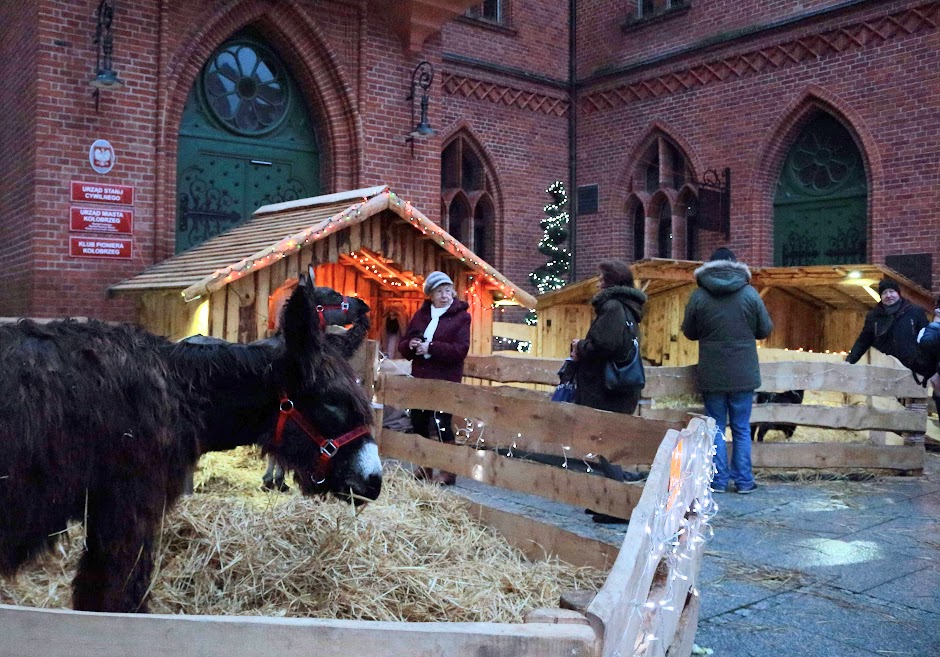 You are currently viewing Jako ostatnia na placu Ratuszowym pojawi się szopka z żywymi zwierzętami