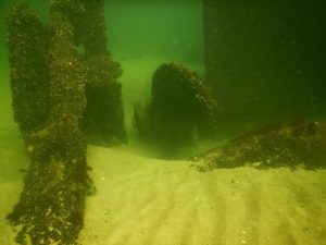 Read more about the article Projekt „Wraki Kołobrzegu 2018”, czyli rozpoznanie podwodnych stanowisk archeologicznych (zdjęcia)