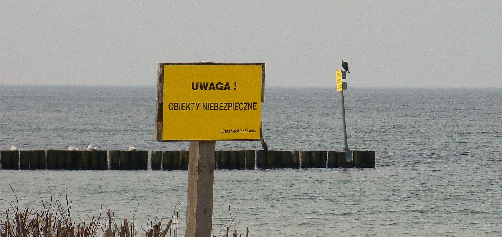 You are currently viewing Wiemy już co było w podejrzanym pojemniku, który morze wyrzuciło na plażę w Grzybowie