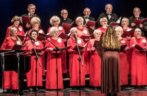 Read more about the article PRZEŁOŻONY: Sobota, RCK, koncert „Chór Jedność śpiewa kolędy”, godz. 17, bilety 3 zł