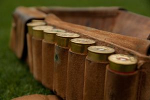 Read more about the article Radni wykreślili zapis w uchwale o odstrzeliwaniu lisów i dzików z terenu miasta. „Wilk się wstrzymał”