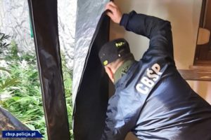 Read more about the article Policja zlikwidowała nielegalne laboratorium narkotyków (wideo)